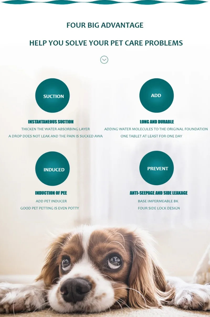 Tapete higiênico reutilizável para cachorro